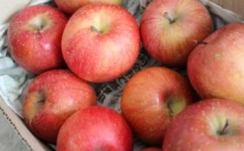 1月30日イベント出店ご案内